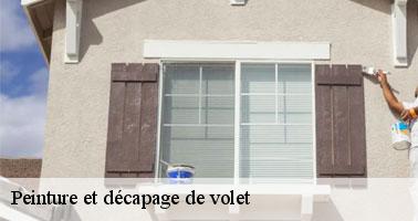 /photos/1754135-peinture-et-decapage-de-volet