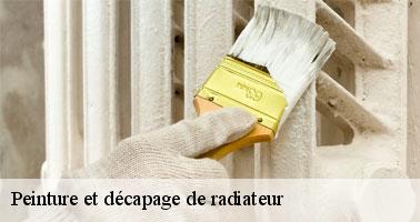 /photos/1754993-peinture-et-decapage-de-radiateur