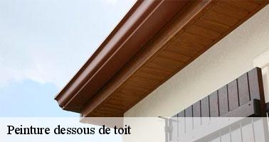 /photos/1755322-peinture-dessous-de-toit